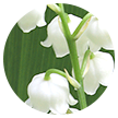 notas-de-coracao