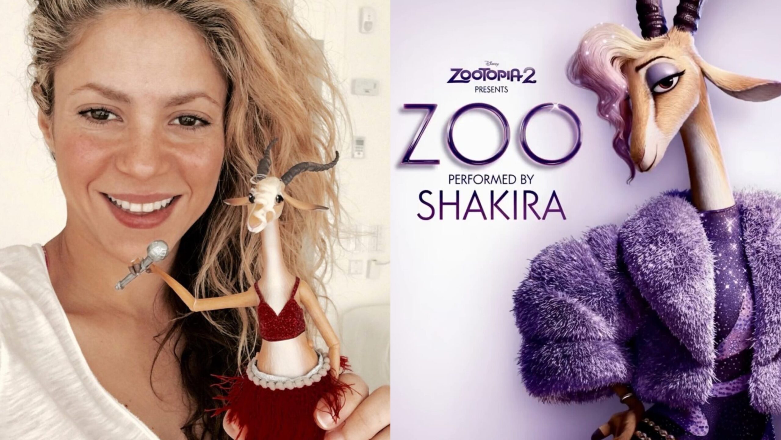 “Zoo”: Revelada a prévia da canção composta por Shakira e Ed Sheeran para Zootopia 2